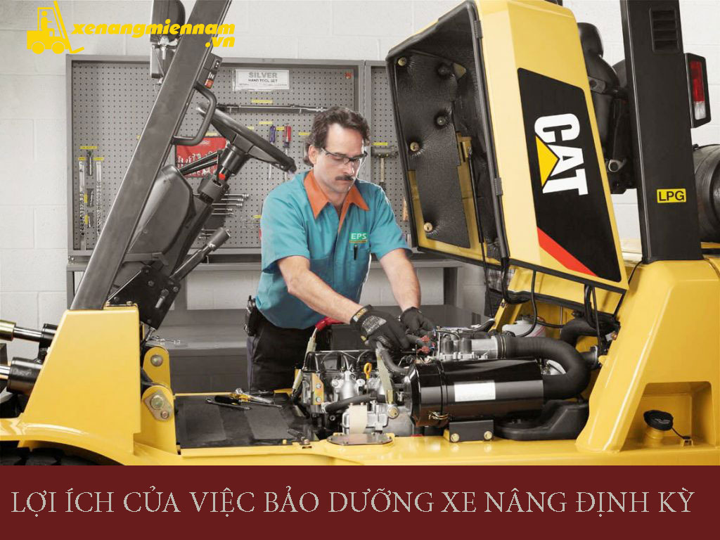Bảo dưỡng bảo trì xe nâng tại KCN Đá Bạc, huyện Châu Đức, tỉnh Bà Rịa- Vũng Tàu