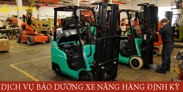 Bảo dưỡng bảo trì xe nâng tại KCN Phú Tân, phường Phú Tân, thành phố Thủ Dầu Một, Bình Dương