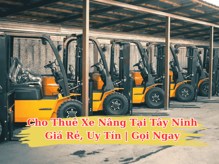 cho-thue-xe-nang-tai-tay-ninh-1