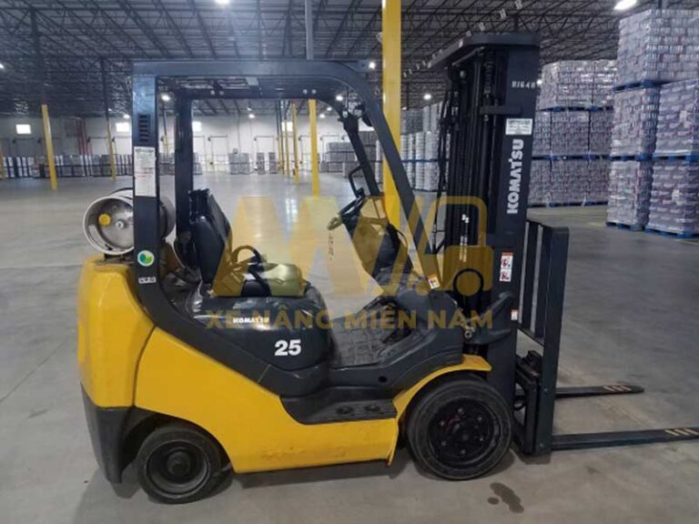 cho-thue-xe-nang-tai-di-an-3